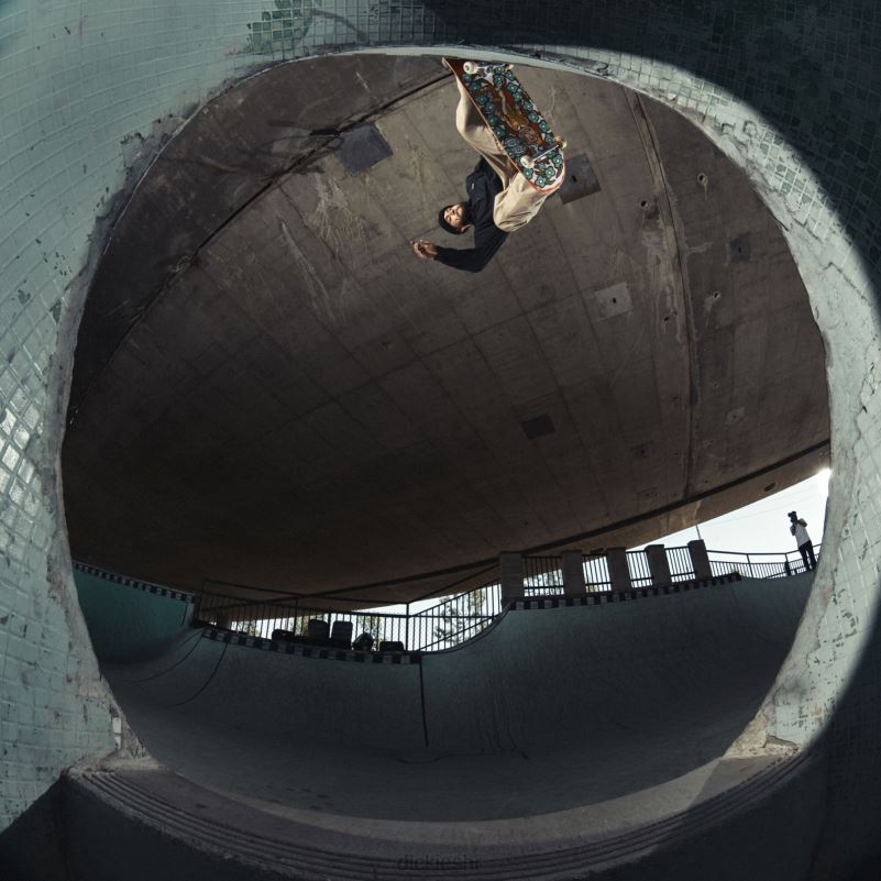 ronnie sandoval hlače do dva koljena muškarci Dickies blok boje pustinjskog pijeska/masline (dvc) 6BPL6234 odjeća