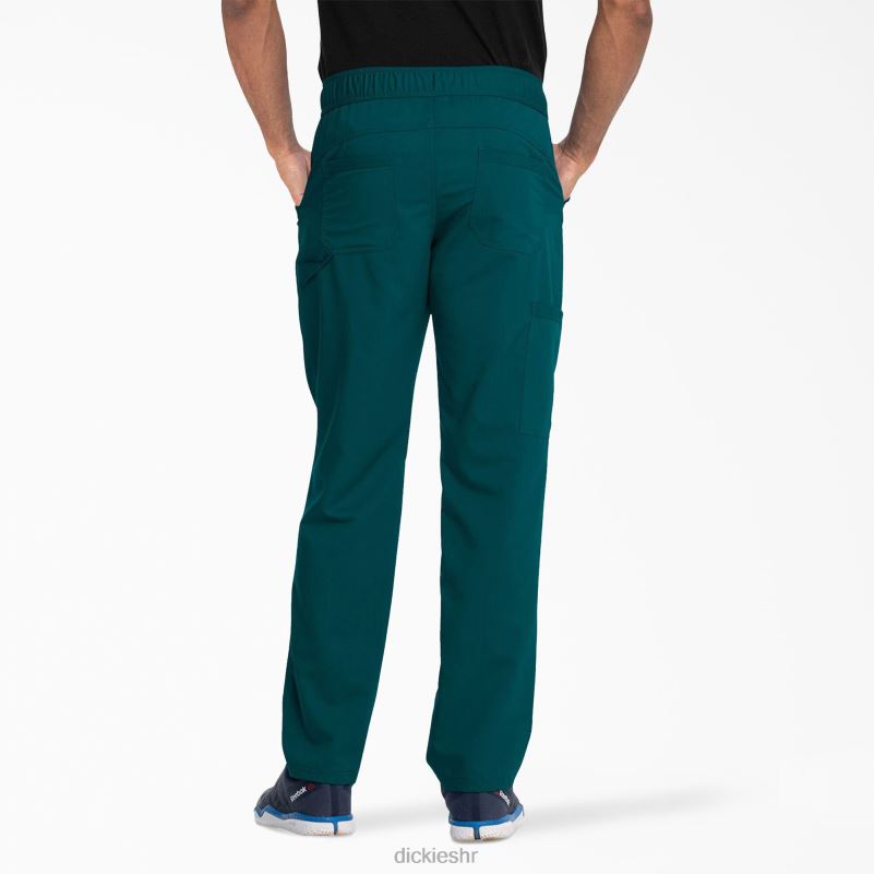 Balance zip fly scrub hlače muškarci Dickies karipsko plava (crb) 6BPL61338 odjeća