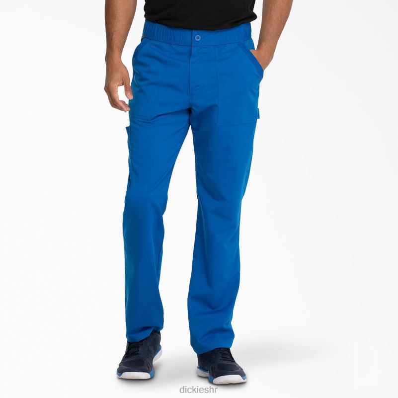 Balance zip fly scrub hlače muškarci Dickies kraljevsko plava (rb) 6BPL61346 odjeća