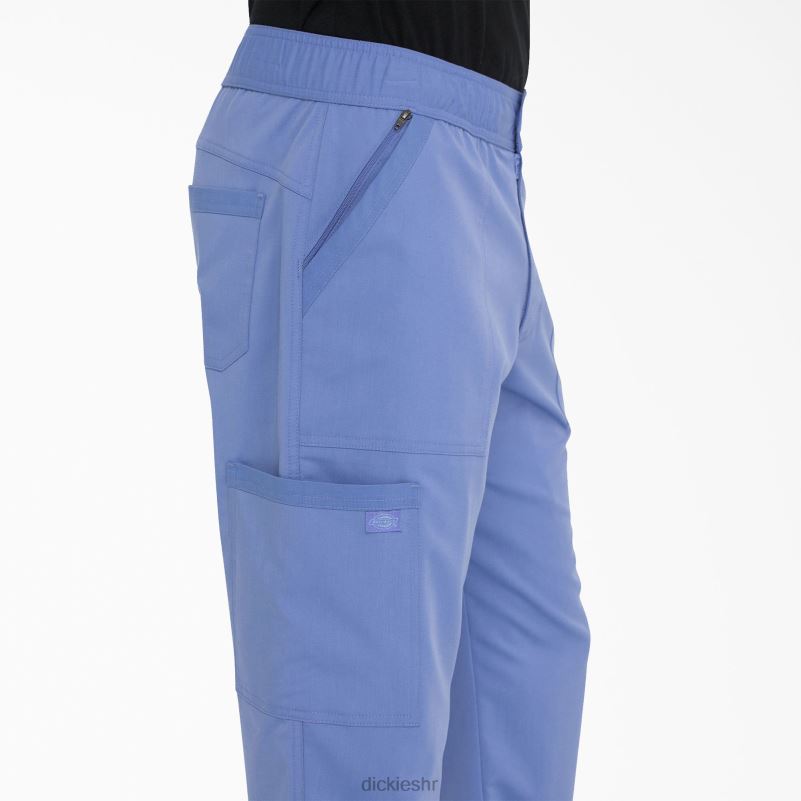 Balance zip fly scrub hlače muškarci Dickies strop plava (cbl) 6BPL61337 odjeća