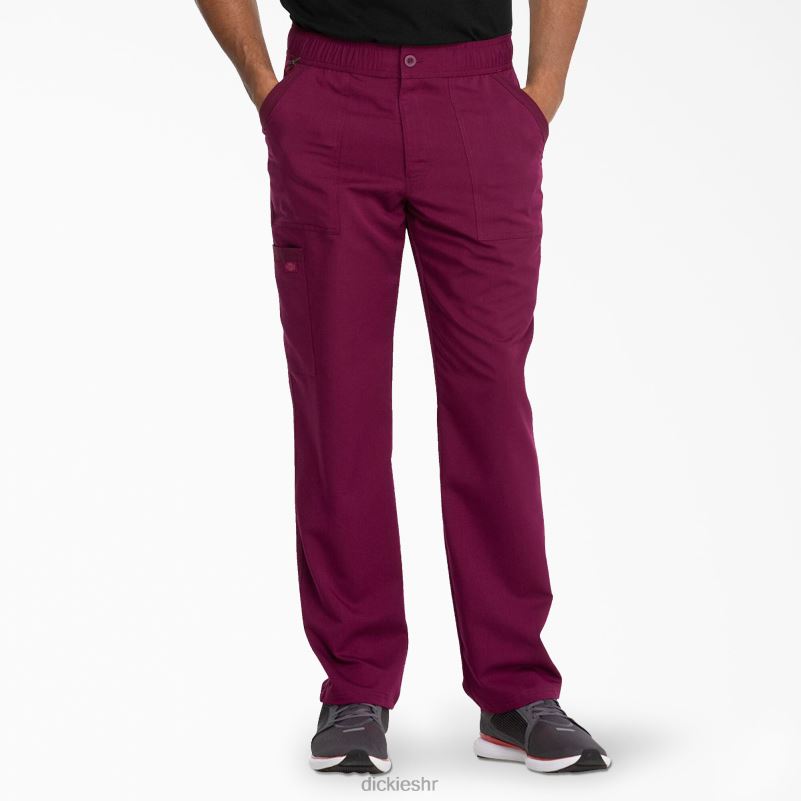 Balance zip fly scrub hlače muškarci Dickies vino (pobjeda) 6BPL61347 odjeća