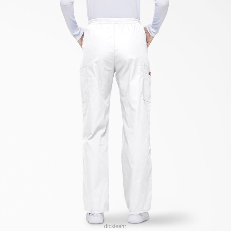 Cargo piling hlače s eds potpisom suženih nogavica žene Dickies bijela (dwh) 6BPL62389 odjeća