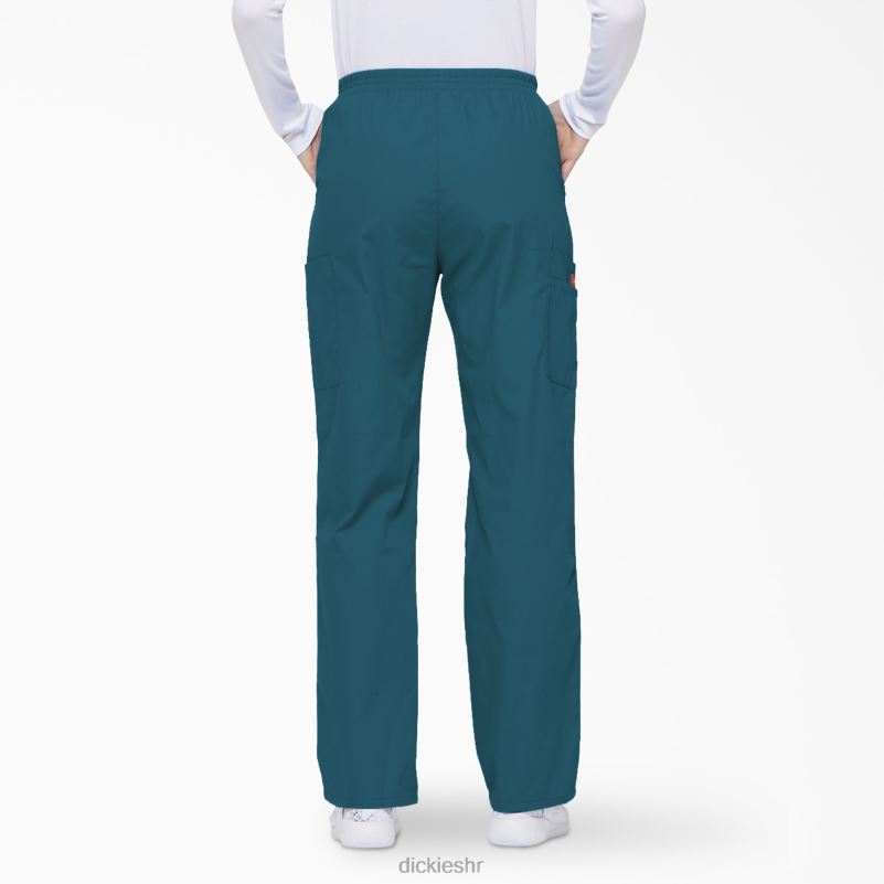 Cargo piling hlače s eds potpisom suženih nogavica žene Dickies karipsko plava (crb) 6BPL62387 odjeća