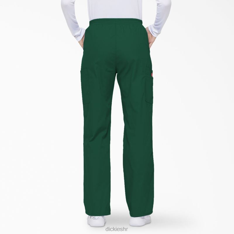 Cargo piling hlače s eds potpisom suženih nogavica žene Dickies lovačko zeleno (htr) 6BPL62394 odjeća