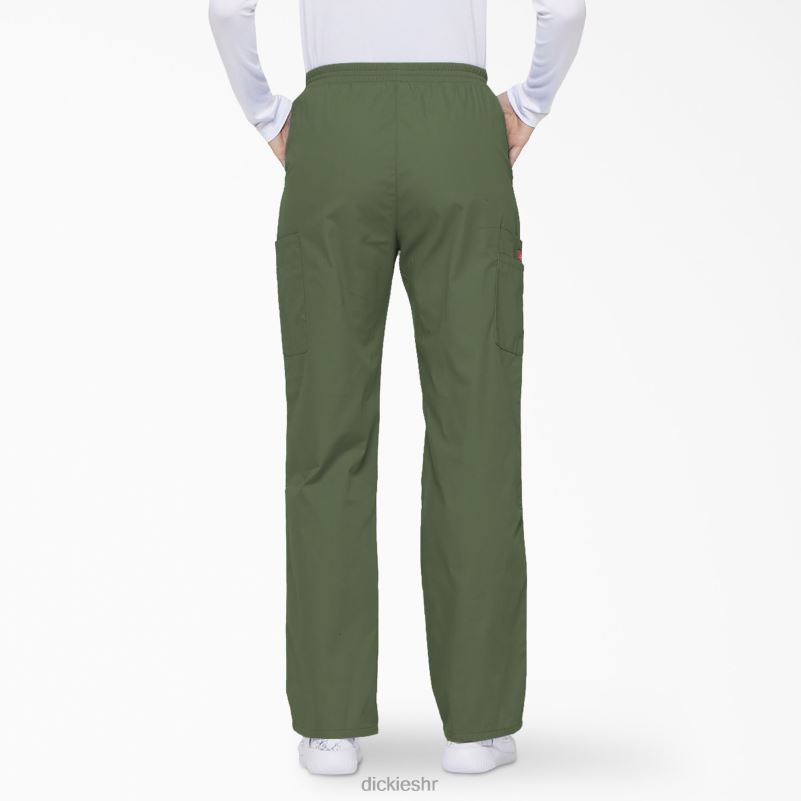 Cargo piling hlače s eds potpisom suženih nogavica žene Dickies maslinasto zelena (oli) 6BPL62397 odjeća