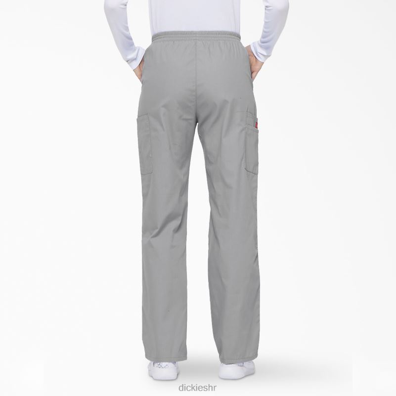 Cargo piling hlače s eds potpisom suženih nogavica žene Dickies siva (gy) 6BPL62392 odjeća