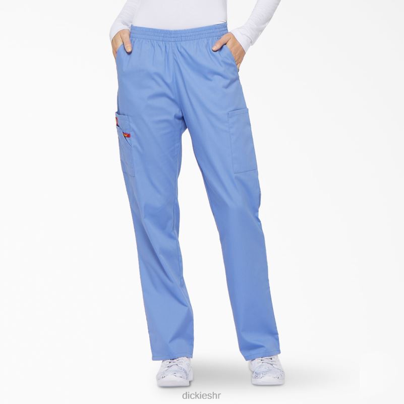 Cargo piling hlače s eds potpisom suženih nogavica žene Dickies strop plava (cbl) 6BPL62386 odjeća
