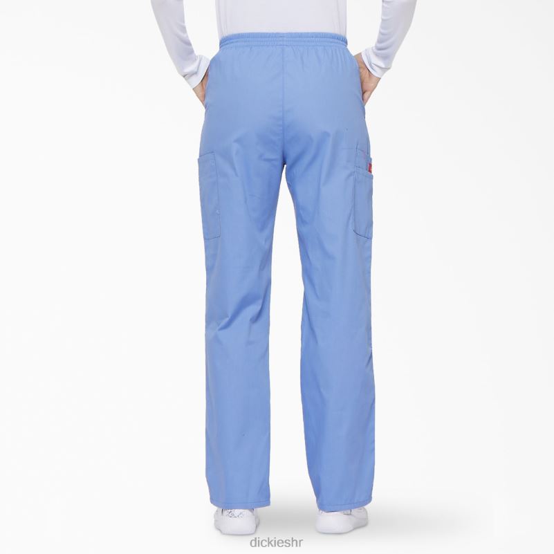 Cargo piling hlače s eds potpisom suženih nogavica žene Dickies strop plava (cbl) 6BPL62386 odjeća
