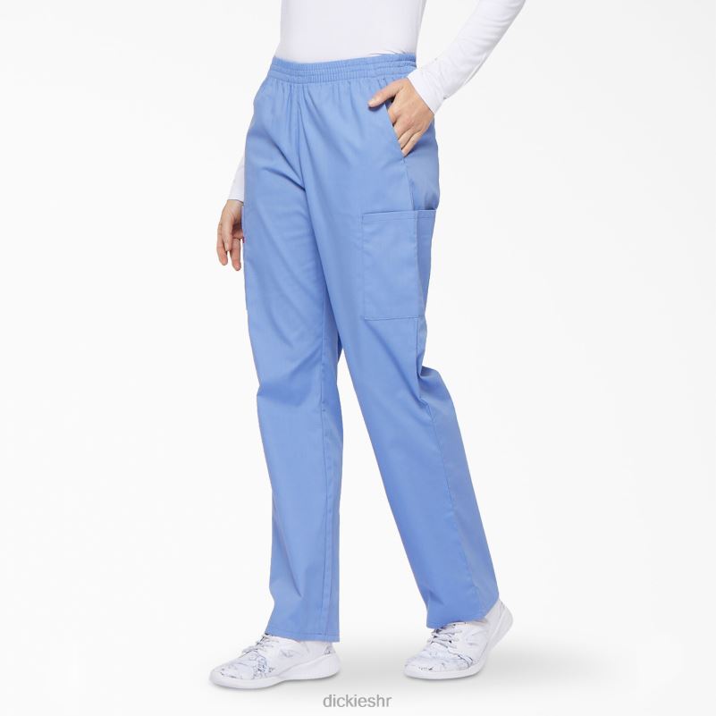 Cargo piling hlače s eds potpisom suženih nogavica žene Dickies strop plava (cbl) 6BPL62386 odjeća