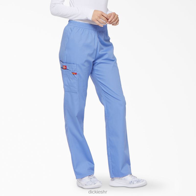 Cargo piling hlače s eds potpisom suženih nogavica žene Dickies strop plava (cbl) 6BPL62386 odjeća