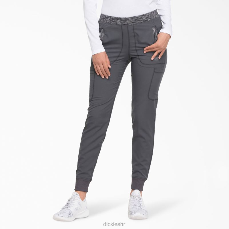 dynamix hlače za trčanje žene Dickies kositar siva (klupa) 6BPL62589 odjeća