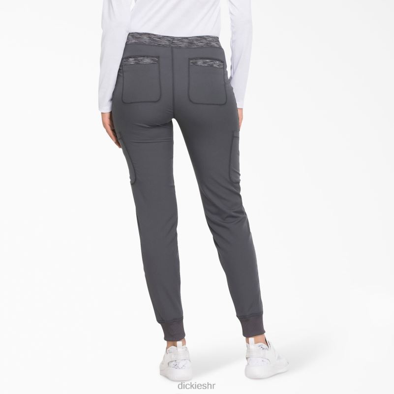 dynamix hlače za trčanje žene Dickies kositar siva (klupa) 6BPL62589 odjeća