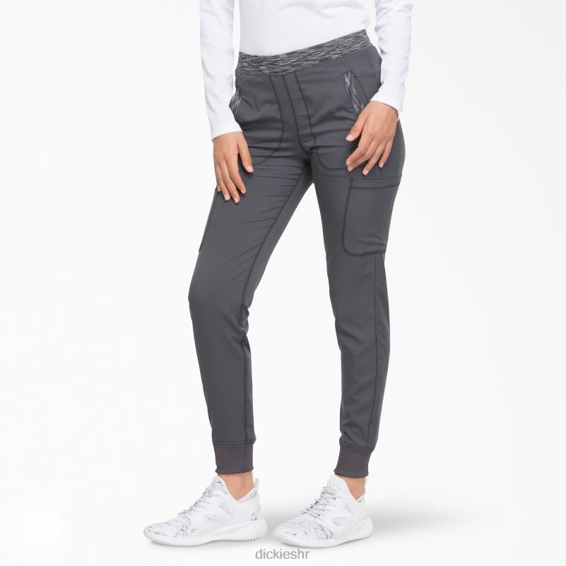 dynamix hlače za trčanje žene Dickies kositar siva (klupa) 6BPL62589 odjeća