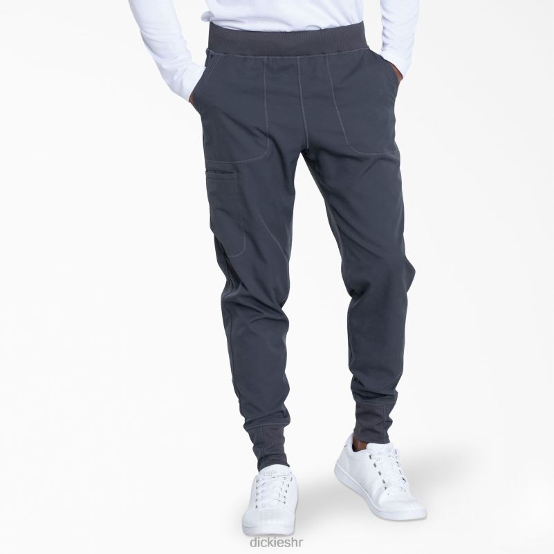 dynamix hlače za trčanje muškarci Dickies kositar siva (klupa) 6BPL61242 odjeća