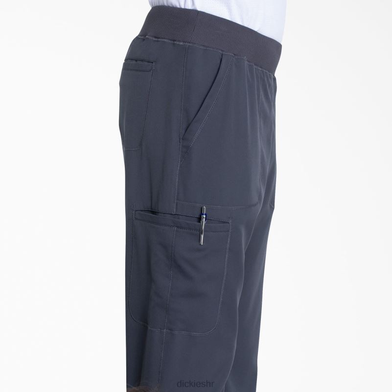 dynamix hlače za trčanje muškarci Dickies kositar siva (klupa) 6BPL61242 odjeća
