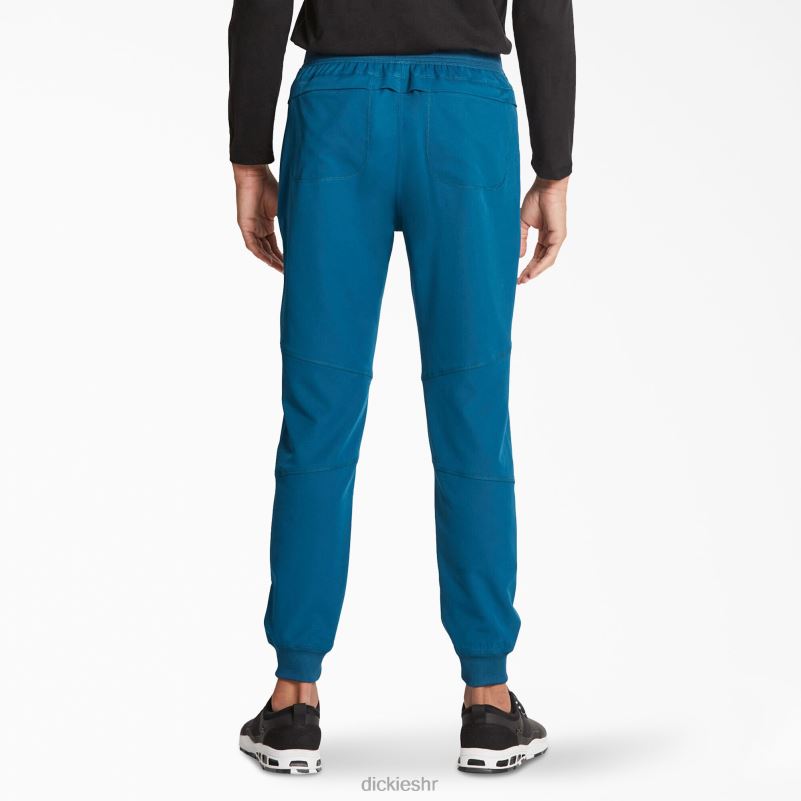 dynamix trkačke hlače prirodnog rasta muškarci Dickies karipsko plava (crb) 6BPL61395 odjeća