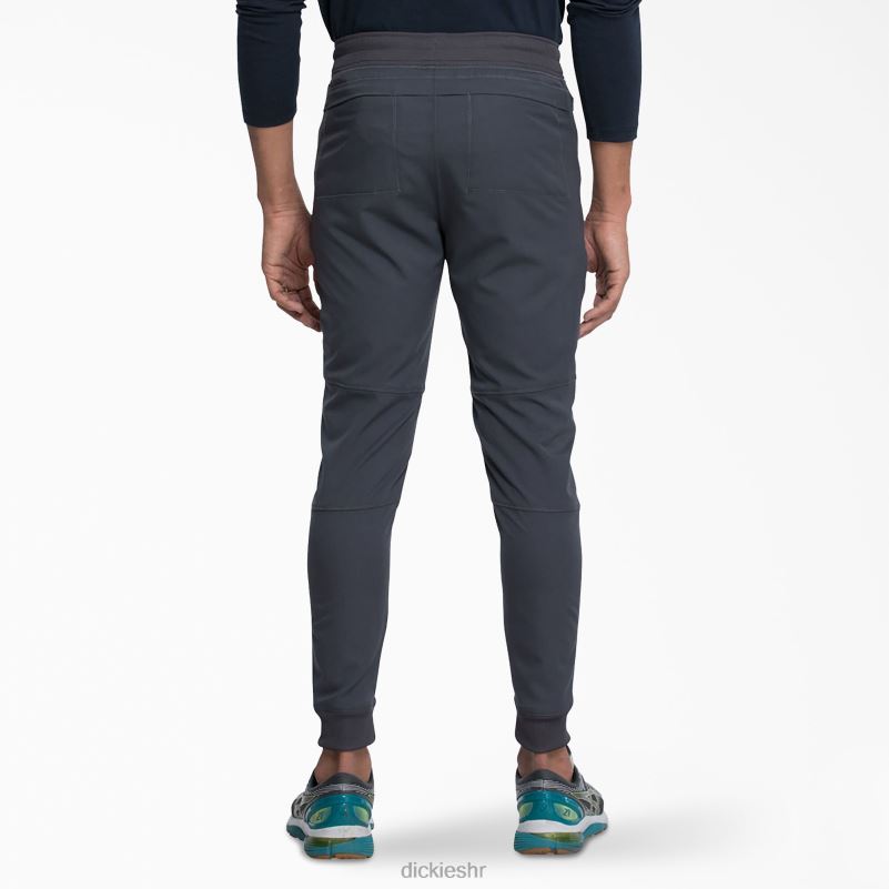 dynamix trkačke hlače prirodnog rasta muškarci Dickies kositar siva (klupa) 6BPL61397 odjeća
