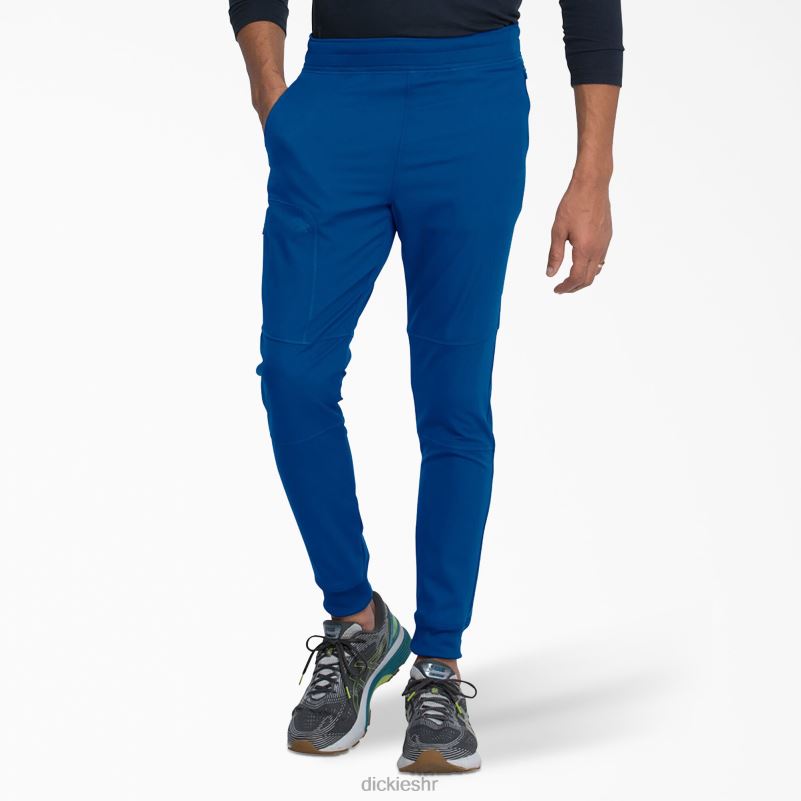 dynamix trkačke hlače prirodnog rasta muškarci Dickies kraljevsko plava (rb) 6BPL61398 odjeća