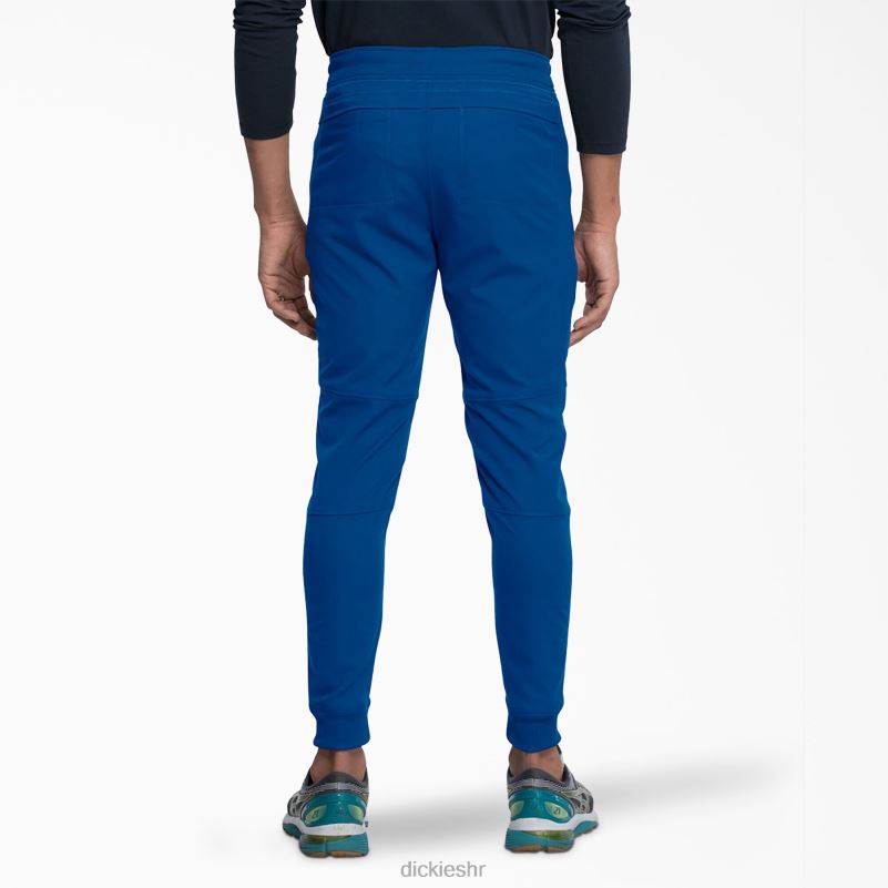 dynamix trkačke hlače prirodnog rasta muškarci Dickies kraljevsko plava (rb) 6BPL61398 odjeća