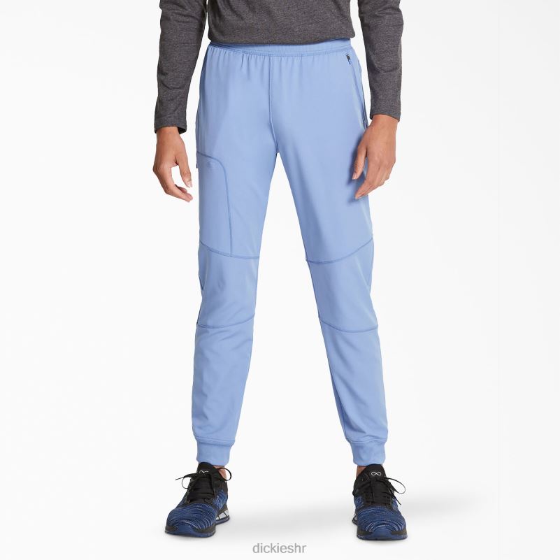 dynamix trkačke hlače prirodnog rasta muškarci Dickies strop plava (cbl) 6BPL61394 odjeća
