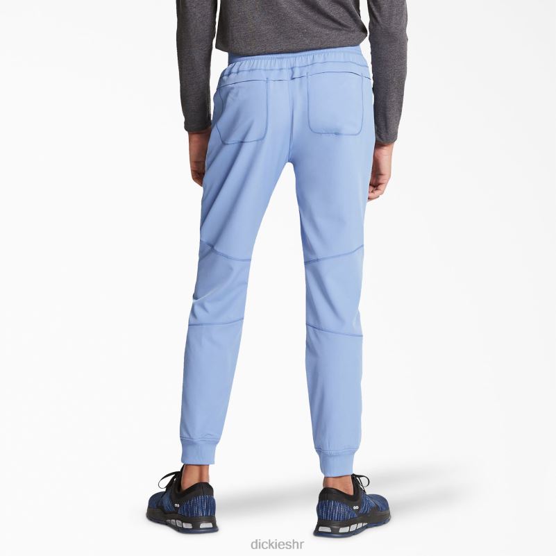 dynamix trkačke hlače prirodnog rasta muškarci Dickies strop plava (cbl) 6BPL61394 odjeća