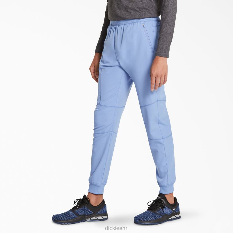 dynamix trkačke hlače prirodnog rasta muškarci Dickies strop plava (cbl) 6BPL61394 odjeća