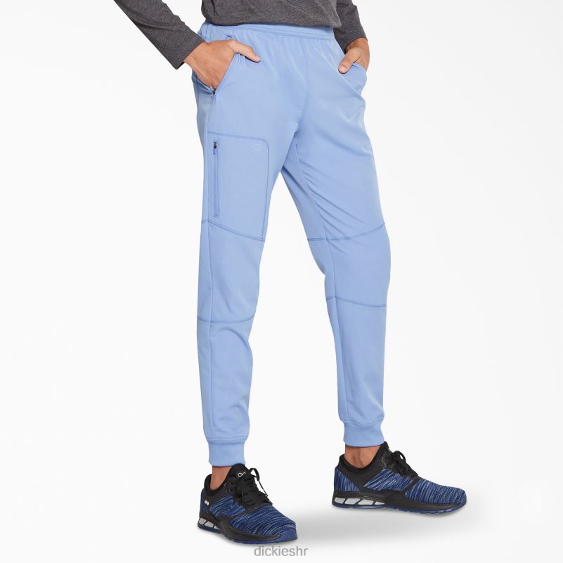 dynamix trkačke hlače prirodnog rasta muškarci Dickies strop plava (cbl) 6BPL61394 odjeća