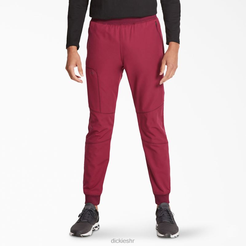 dynamix trkačke hlače prirodnog rasta muškarci Dickies vino (pobjeda) 6BPL61399 odjeća