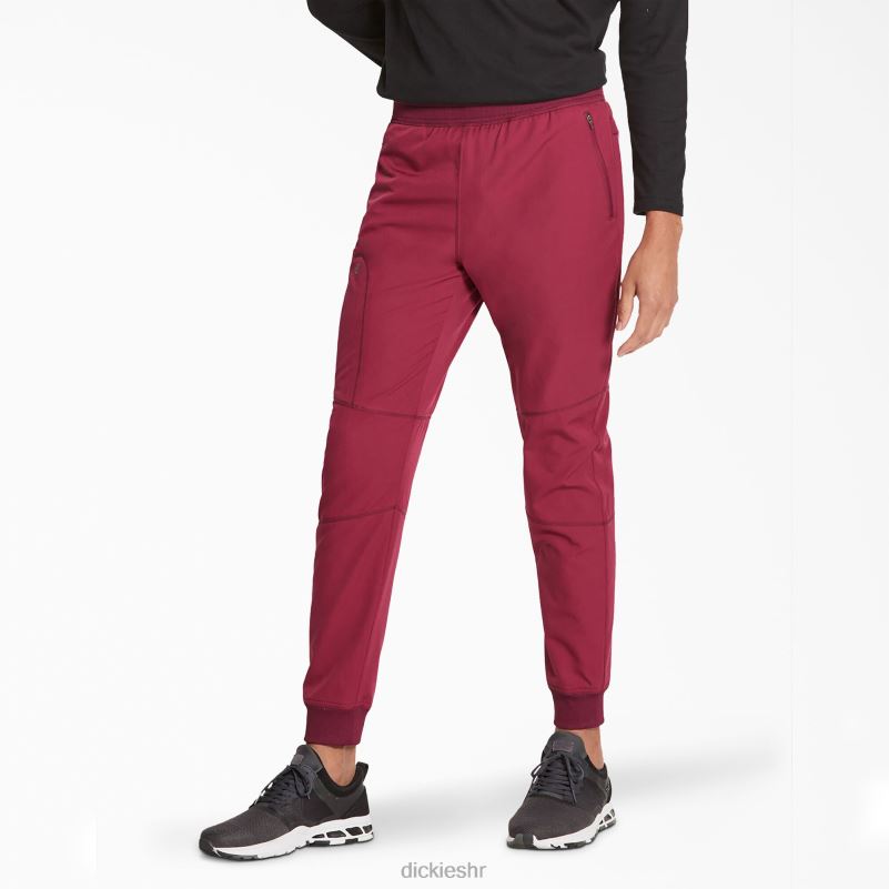 dynamix trkačke hlače prirodnog rasta muškarci Dickies vino (pobjeda) 6BPL61399 odjeća