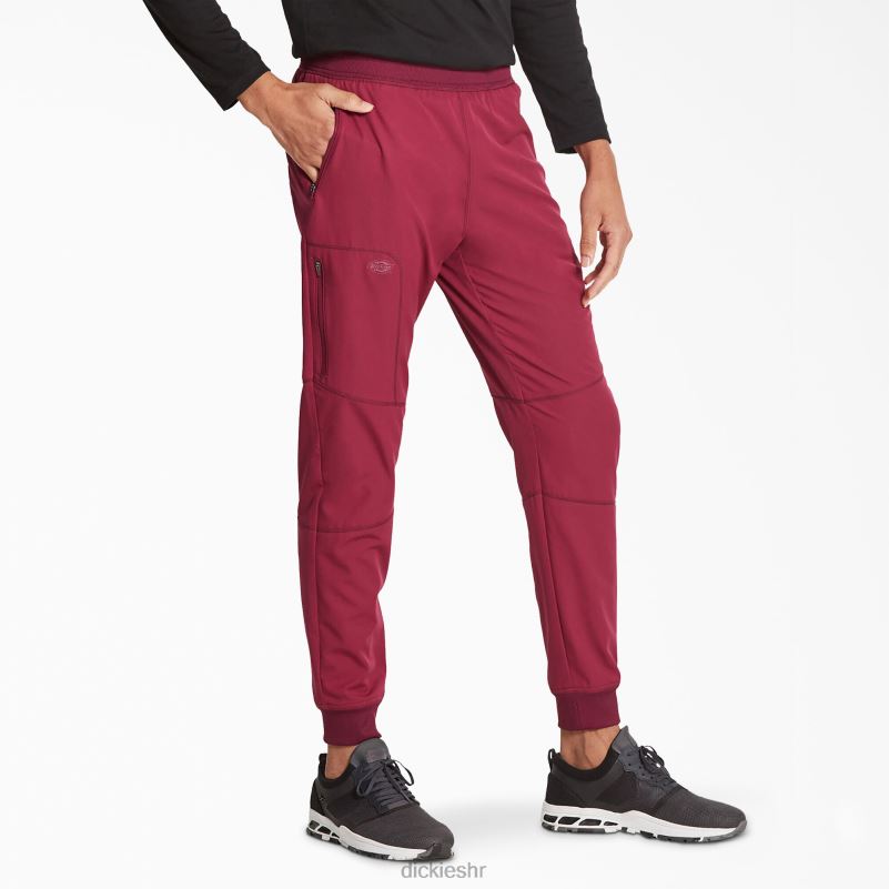 dynamix trkačke hlače prirodnog rasta muškarci Dickies vino (pobjeda) 6BPL61399 odjeća