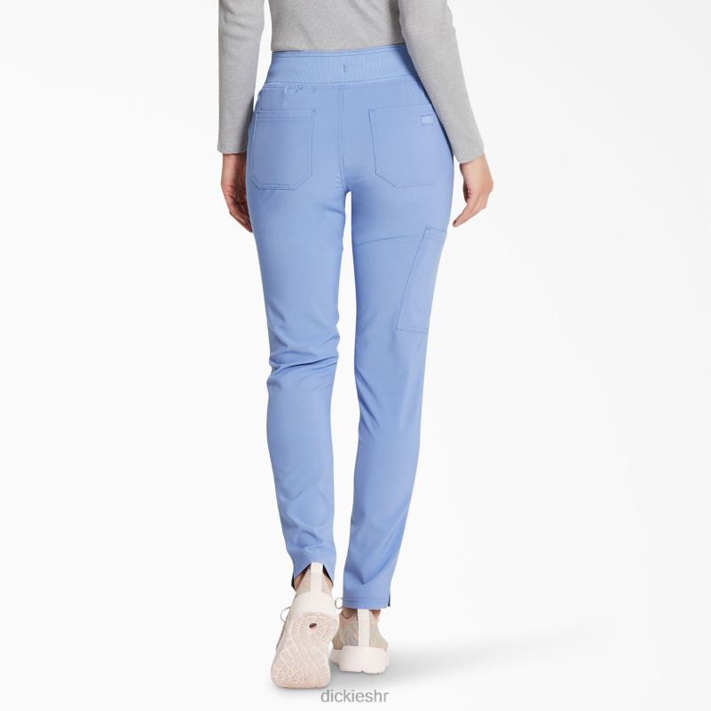 eds Essentials hlače za piling suženih nogu žene Dickies strop plava (cbl) 6BPL62512 odjeća