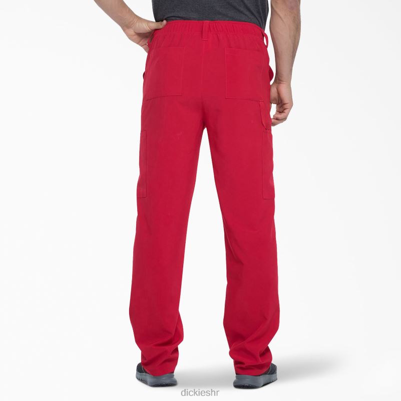 eds Essentials piling hlače muškarci Dickies crvena (rd) 6BPL61383 odjeća