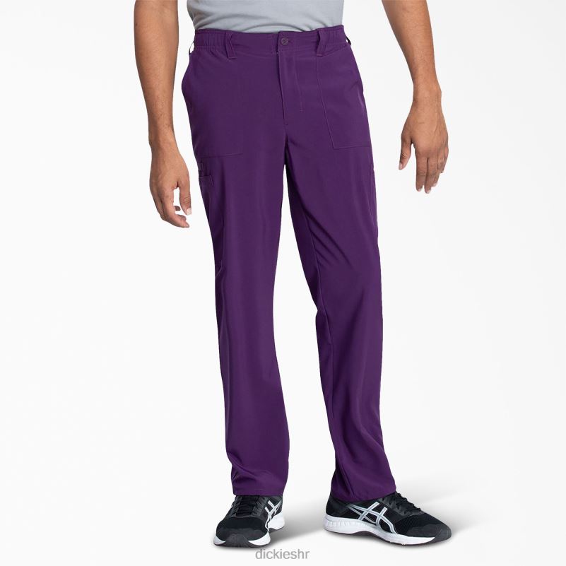 eds Essentials piling hlače muškarci Dickies ljubičasti patlidžan (jaje) 6BPL61375 odjeća