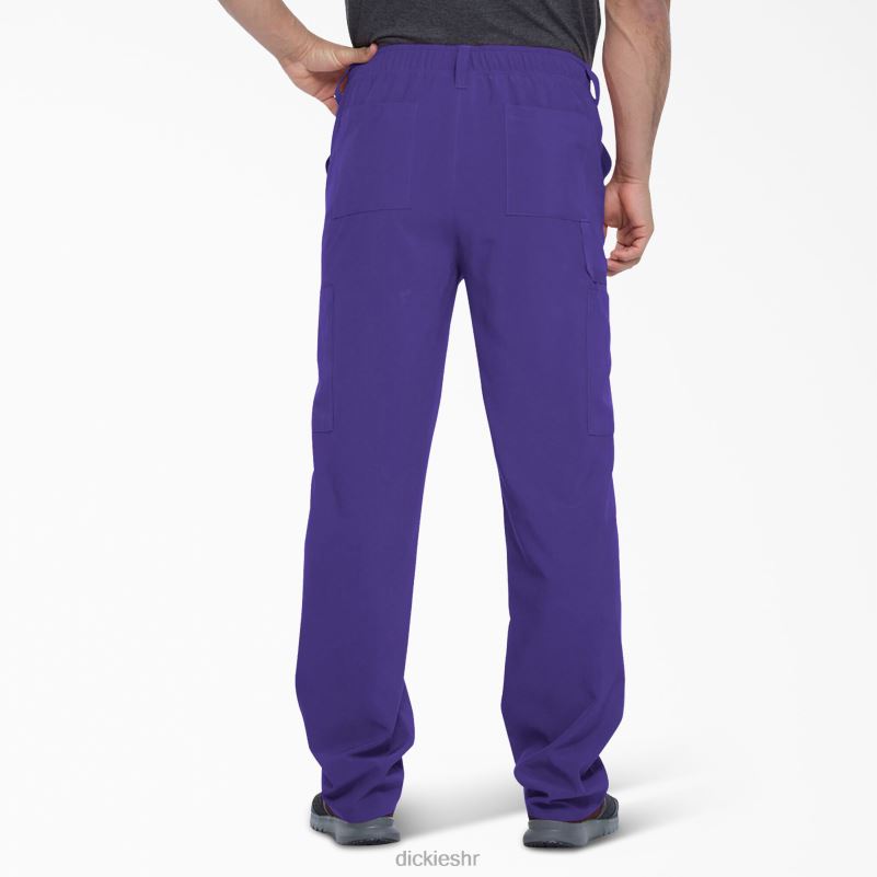 eds Essentials piling hlače muškarci Dickies ljubičasto grožđe (gp) 6BPL61377 odjeća