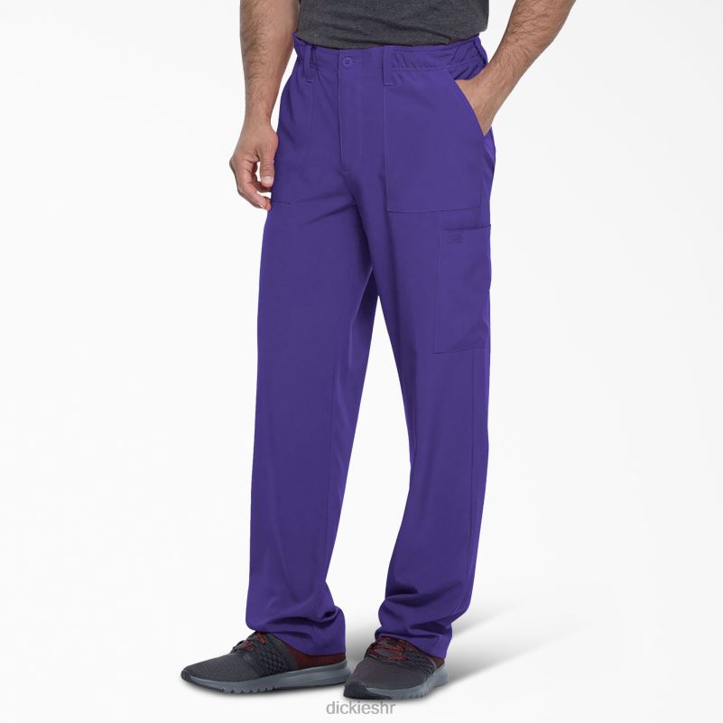 eds Essentials piling hlače muškarci Dickies ljubičasto grožđe (gp) 6BPL61377 odjeća