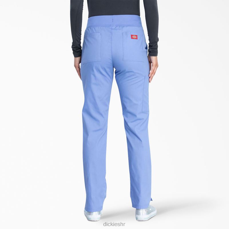 eds prepoznatljive hlače za piling suženih nogu žene Dickies strop plava (cbl) 6BPL62603 odjeća