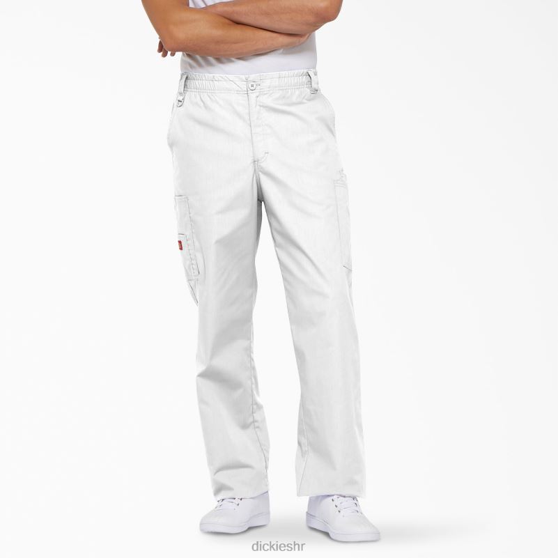 eds signature cargo piling hlače muškarci Dickies bijela (dwh) 6BPL61223 odjeća
