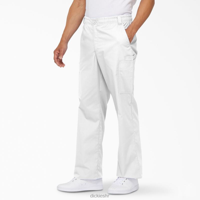 eds signature cargo piling hlače muškarci Dickies bijela (dwh) 6BPL61223 odjeća