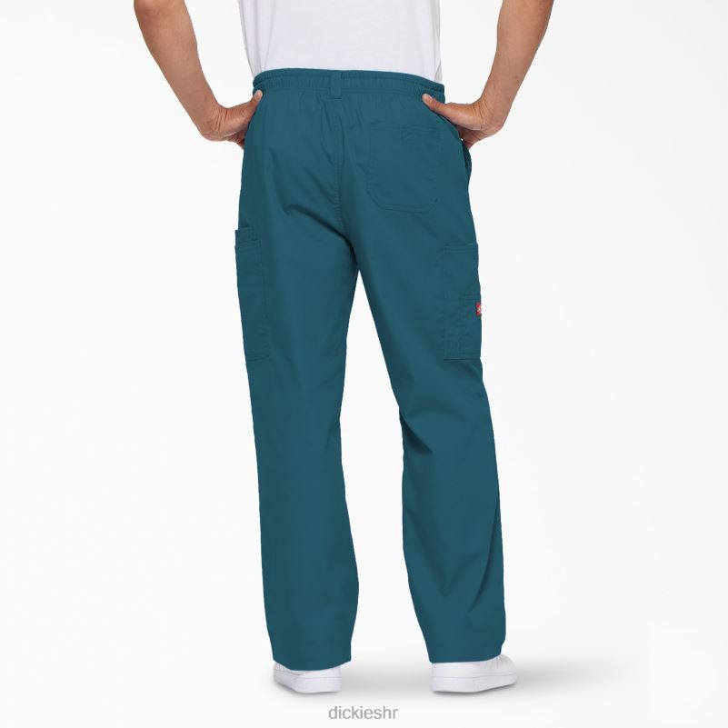 eds signature cargo piling hlače muškarci Dickies karipsko plava (crb) 6BPL61222 odjeća
