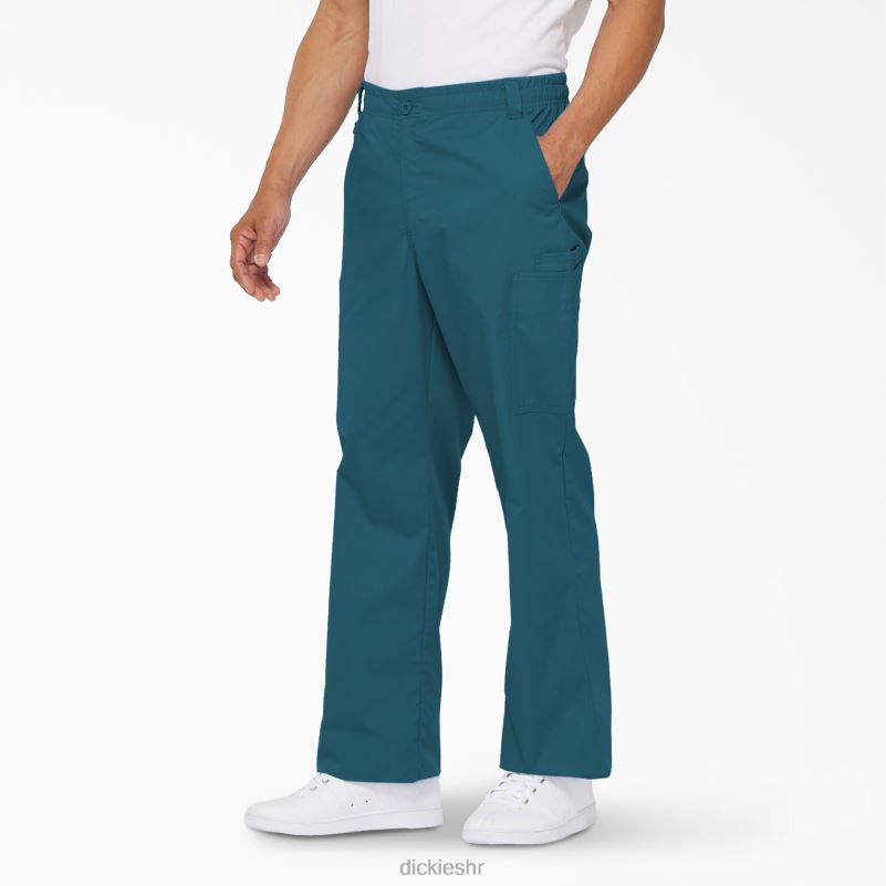eds signature cargo piling hlače muškarci Dickies karipsko plava (crb) 6BPL61222 odjeća