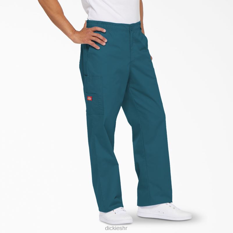 eds signature cargo piling hlače muškarci Dickies karipsko plava (crb) 6BPL61222 odjeća