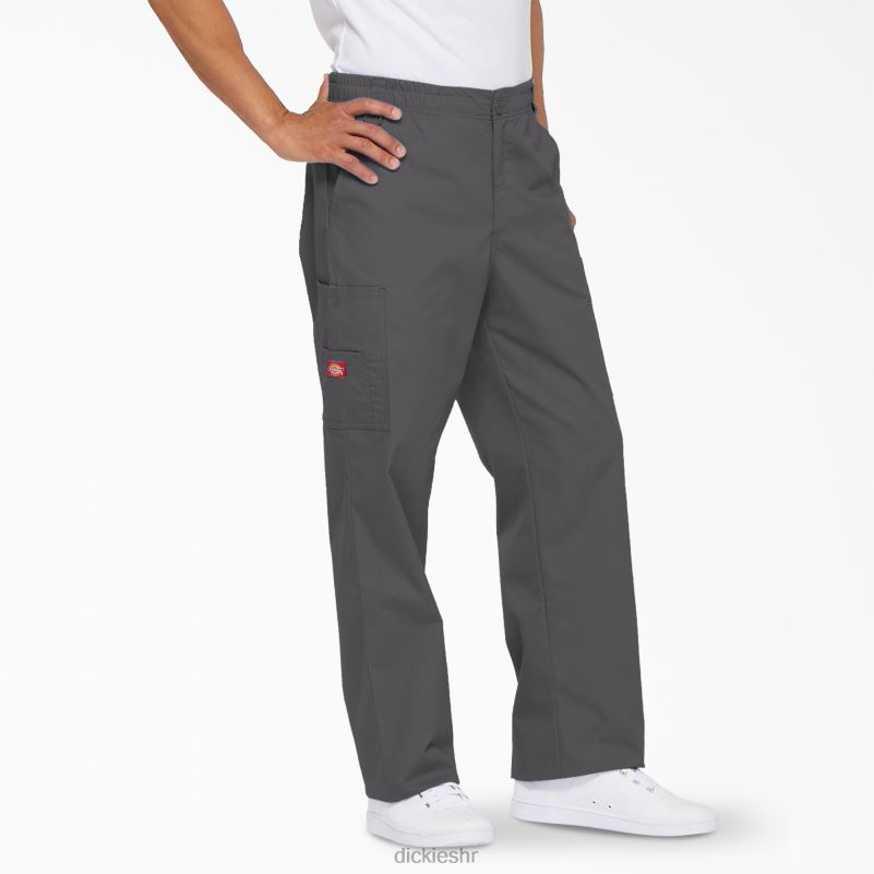 eds signature cargo piling hlače muškarci Dickies kositar siva (klupa) 6BPL61230 odjeća