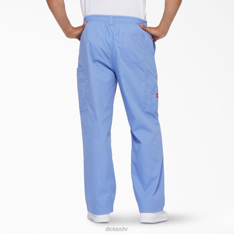 eds signature cargo piling hlače muškarci Dickies strop plava (cbl) 6BPL61221 odjeća