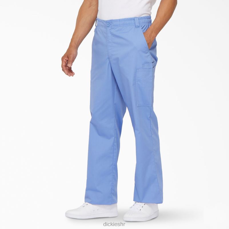 eds signature cargo piling hlače muškarci Dickies strop plava (cbl) 6BPL61221 odjeća