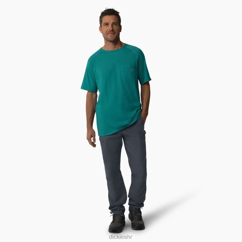 štite hlađenje ripstop cargo hlače muškarci Dickies ugljen siva (ch) 6BPL6280 odjeća
