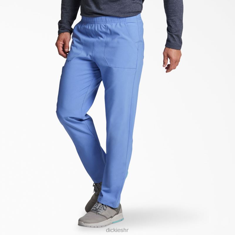 unisex eds Essentials piling hlače prirodnog rasta suženih nogu muškarci Dickies strop plava (cbl) 6BPL61416 odjeća