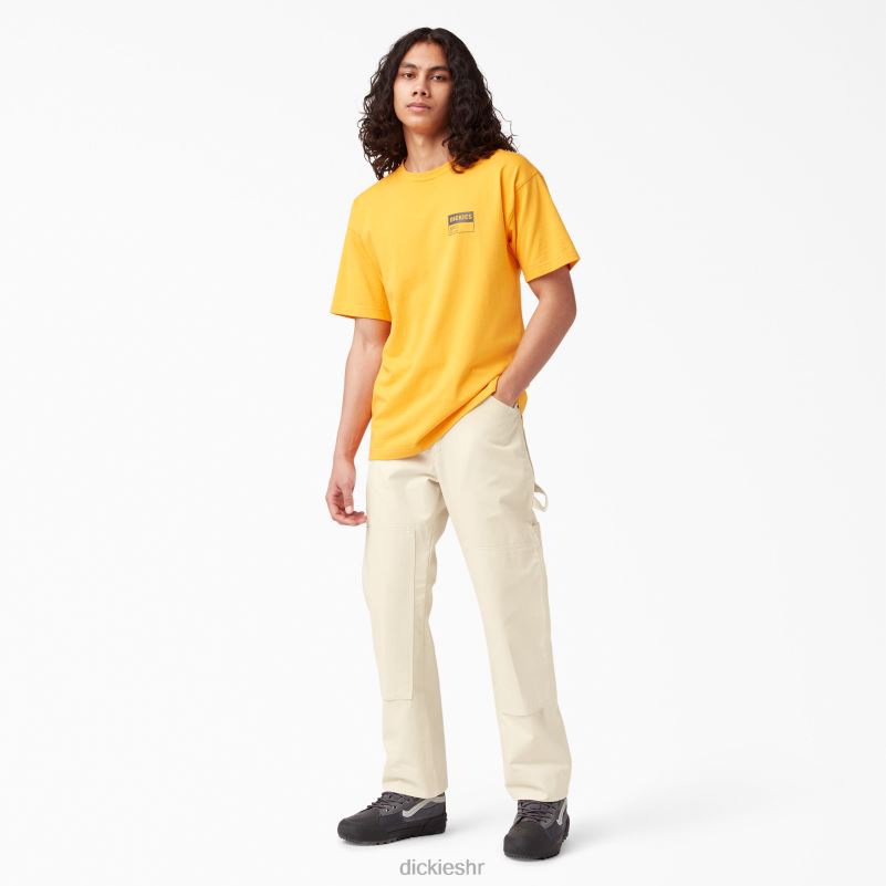 dvostruke koljena utility painter's pants muškarci Dickies prirodna bež (nt) 6BPL6159 odjeća