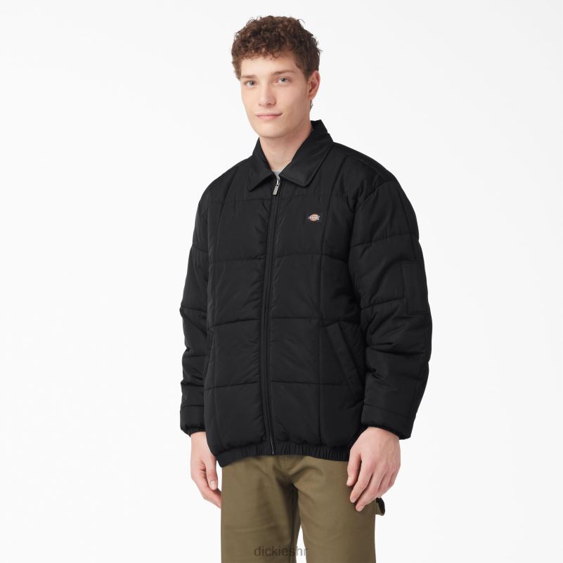 Eisenhower pufer jakna muškarci Dickies crna (bkx) 6BPL61068 odjeća