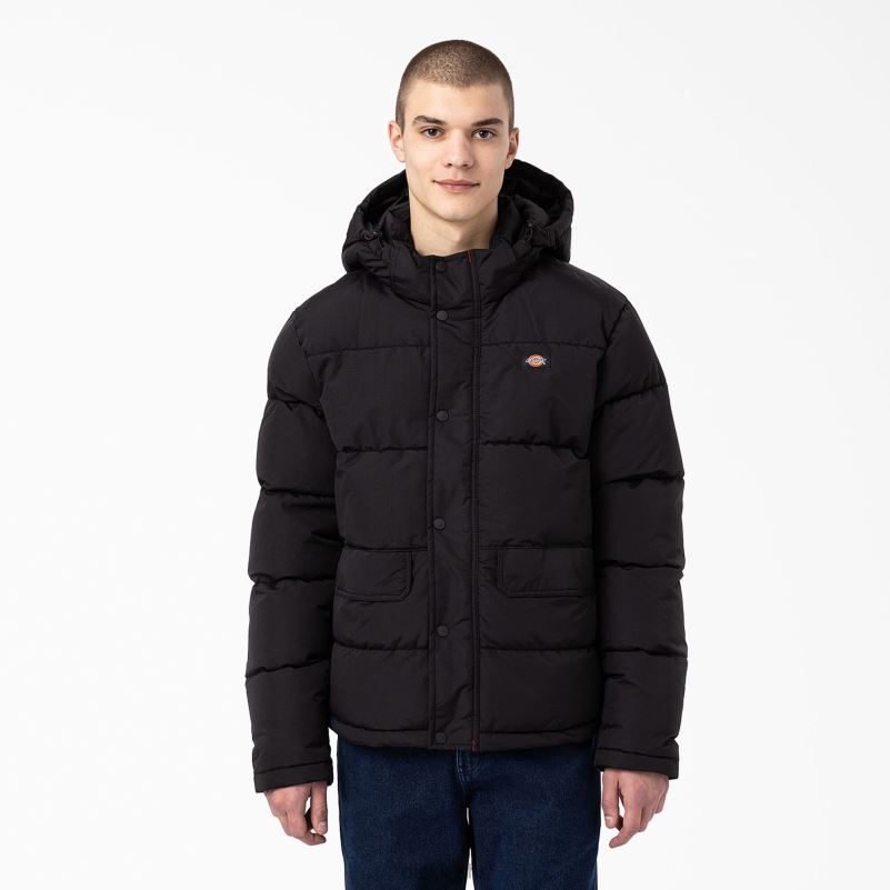 anorak pufer jakna s pogledom na ledenjak muškarci Dickies redovito 6BPL61177 odjeća