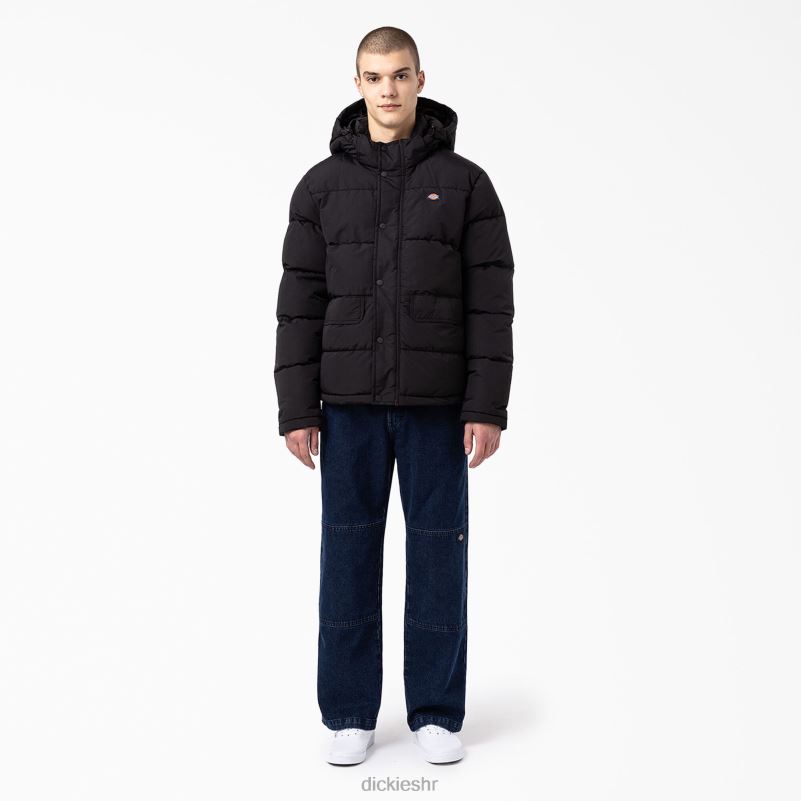 anorak pufer jakna s pogledom na ledenjak muškarci Dickies redovito 6BPL61177 odjeća